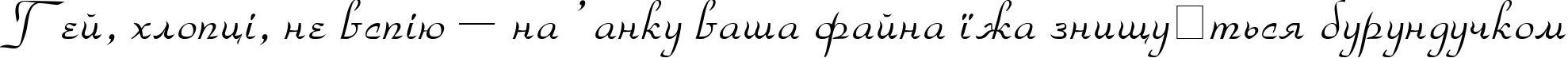 Пример написания шрифтом Torhok Italic текста на украинском