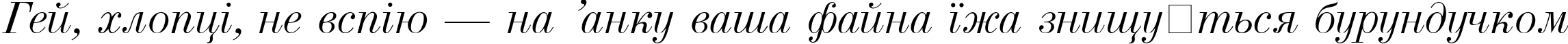 Пример написания шрифтом Usual New Italic текста на украинском