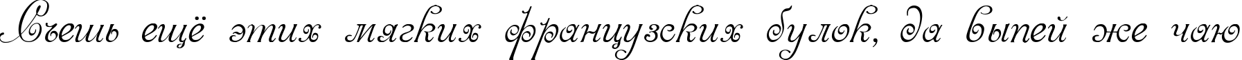 Пример написания шрифтом Venecia текста на русском
