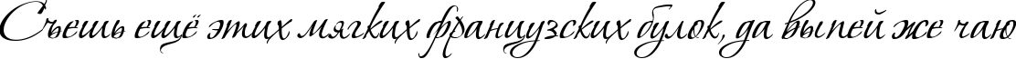 Пример написания шрифтом Vera Crouz текста на русском