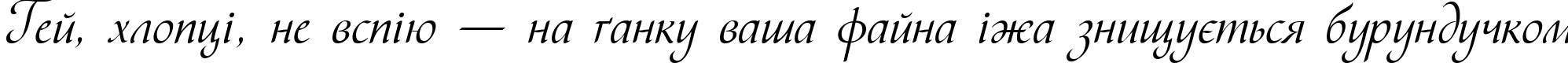 Пример написания шрифтом Vesna текста на украинском