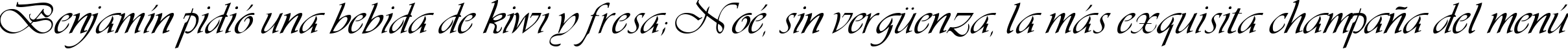 Пример написания шрифтом Vivacious текста на испанском