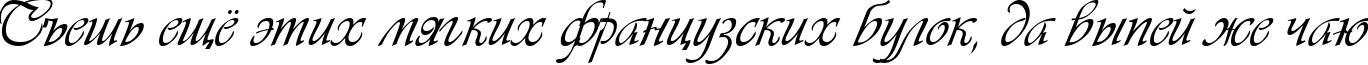 Пример написания шрифтом VivaldiD CL текста на русском