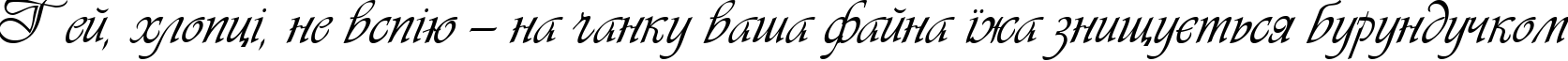 Пример написания шрифтом VivaldiD CL текста на украинском