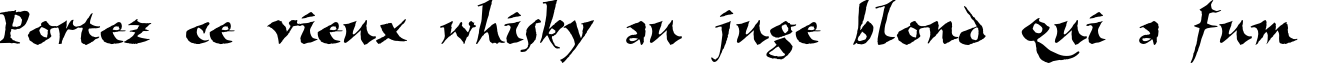 Пример написания шрифтом VizaviTYGRA текста на французском