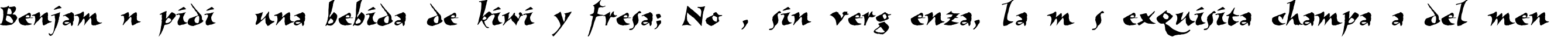 Пример написания шрифтом VizaviTYGRA текста на испанском