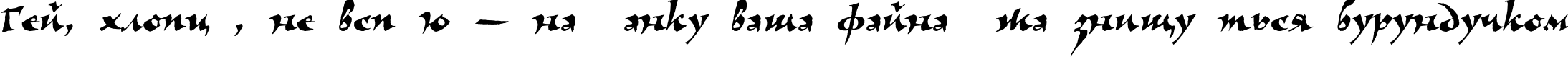Пример написания шрифтом VizaviTYGRA текста на украинском