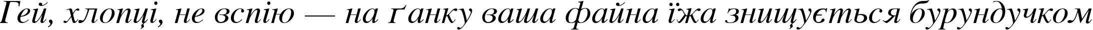 Пример написания шрифтом Vremya Italic текста на украинском