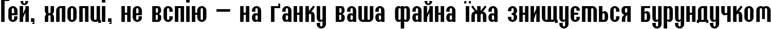 Пример написания шрифтом Willamette SF текста на украинском
