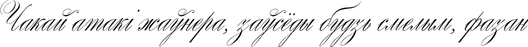 Пример написания шрифтом Wolfgang Amadeus Mozart текста на белорусском