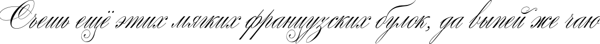 Пример написания шрифтом Wolfgang Amadeus Mozart текста на русском