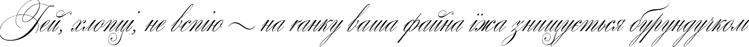 Пример написания шрифтом Wolfgang Amadeus Mozart текста на украинском