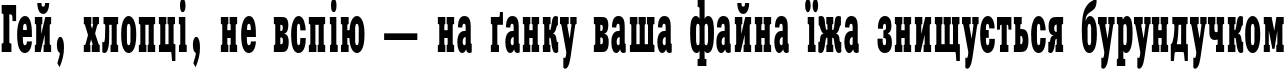 Пример написания шрифтом XeniaWesternC текста на украинском