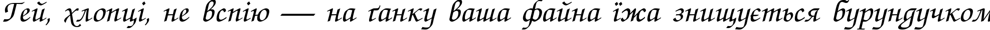 Пример написания шрифтом Zapf ChanceC Italic текста на украинском