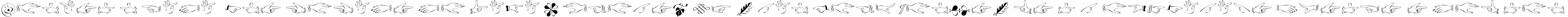 Пример написания шрифтом Zapfino Extra LT Ornaments текста на испанском