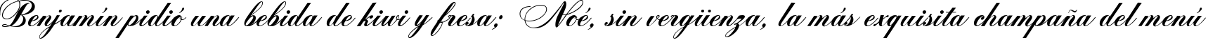 Пример написания шрифтом Zither Script текста на испанском