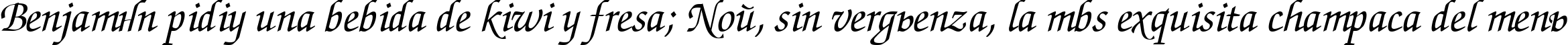 Пример написания шрифтом ZurichCalligraphic Italic текста на испанском