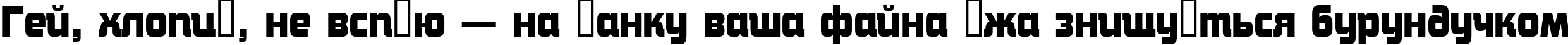 Пример написания шрифтом a_ConceptoNr Bold текста на украинском