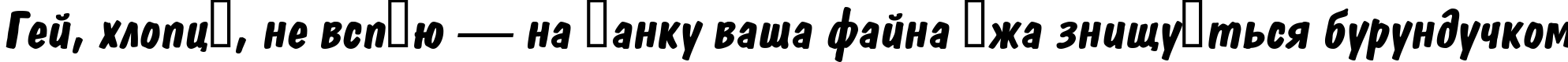 Пример написания шрифтом a_DomIno BoldItalic текста на украинском Пример написания шрифтом a_DomIno BoldItalic текста на украинском