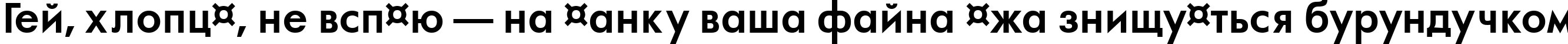 Пример написания шрифтом a_FuturaOrto Bold текста на украинском
