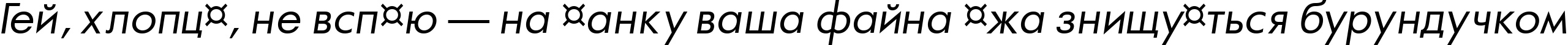 Пример написания шрифтом a_FuturaOrto Italic текста на украинском Пример написания шрифтом a_FuturaOrto Italic текста на украинском