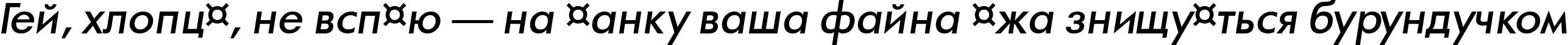 Пример написания шрифтом a_FuturaOrtoLt BoldItalic текста на украинском Пример написания шрифтом a_FuturaOrtoLt BoldItalic текста на украинском