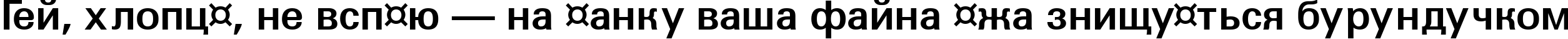Пример написания шрифтом a_Grotic Bold текста на украинском Пример написания шрифтом a_Grotic Bold текста на украинском