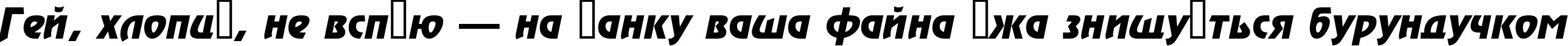 Пример написания шрифтом a_Rewinder BoldItalic текста на украинском Пример написания шрифтом a_Rewinder BoldItalic текста на украинском