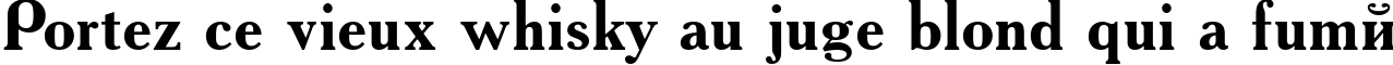 Пример написания шрифтом AcademyACTT Bold текста на французском Пример написания шрифтом AcademyACTT Bold текста на французском