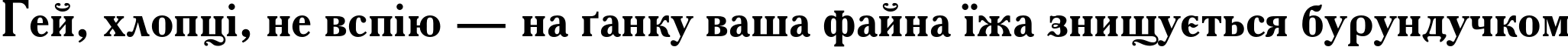 Пример написания шрифтом AcademyC Bold текста на украинском Пример написания шрифтом AcademyC Bold текста на украинском