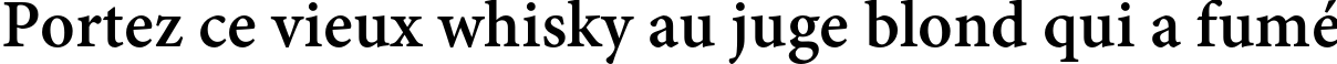 Пример написания шрифтом Adobe Devanagari Bold текста на французском