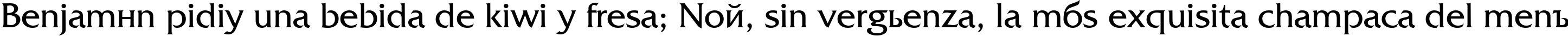 Пример написания шрифтом AGFriquer Roman текста на испанском Пример написания шрифтом AGFriquer Roman текста на испанском