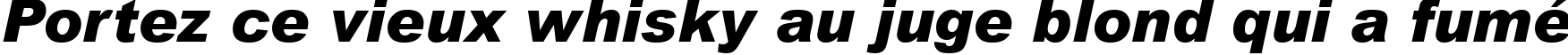 Пример написания шрифтом Arial Black Italic текста на французском Пример написания шрифтом Arial Black Italic текста на французском