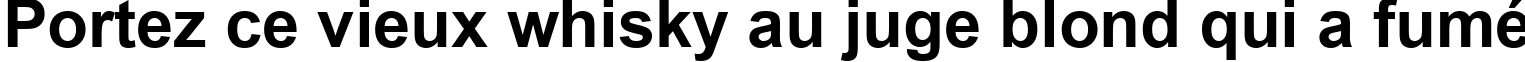 Пример написания шрифтом Arial Bold текста на французском Пример написания шрифтом Arial Bold текста на французском