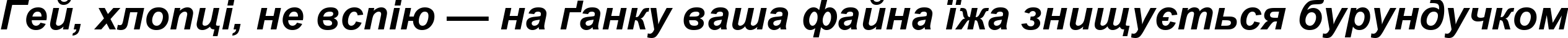 Пример написания шрифтом Arial Cyr Bold Italic текста на украинском