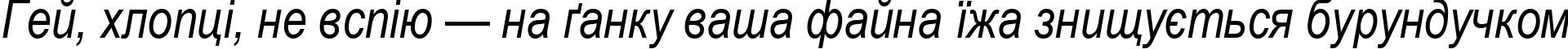 Пример написания шрифтом Arial Narrow Italic текста на украинском Пример написания шрифтом Arial Narrow Italic текста на украинском