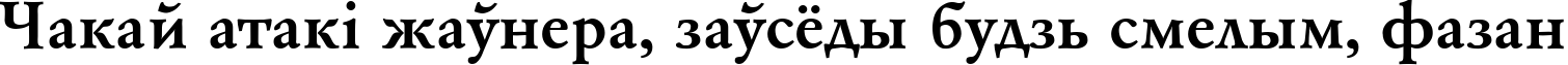 Пример написания шрифтом AZGaramondCTT-Bold текста на белорусском Пример написания шрифтом AZGaramondCTT-Bold текста на белорусском