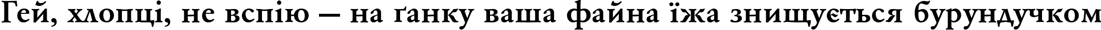 Пример написания шрифтом AZGaramondCTT-Bold текста на украинском Пример написания шрифтом AZGaramondCTT-Bold текста на украинском