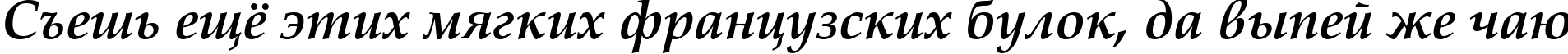 Пример написания шрифтом Book Antiqua Bold Italic текста на русском