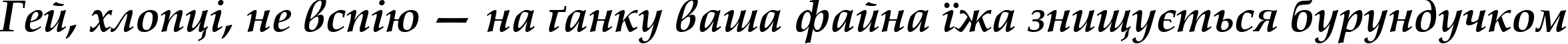 Пример написания шрифтом Book Antiqua Bold Italic текста на украинском
