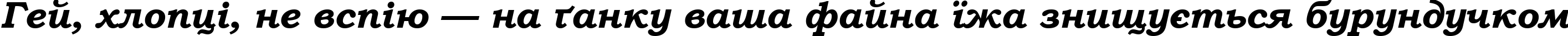 Пример написания шрифтом Bookman Old Style Bold Italic текста на украинском Пример написания шрифтом Bookman Old Style Bold Italic текста на украинском