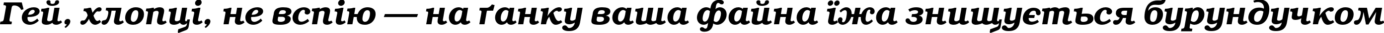 Пример написания шрифтом ITC Bookman Demi Italic Cyrillic текста на украинском Пример написания шрифтом ITC Bookman Demi Italic Cyrillic текста на украинском