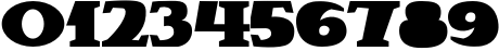 Пример написания цифр шрифтом Brava Пример написания цифр шрифтом Brava