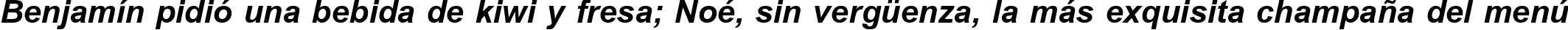 Пример написания шрифтом Browallia New Bold Italic текста на испанском