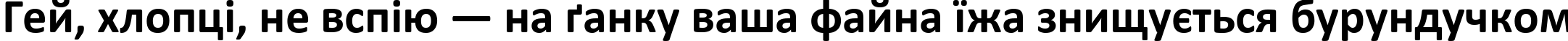 Пример написания шрифтом Calibri Bold текста на украинском