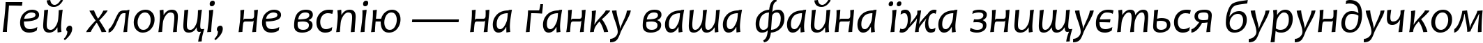Пример написания шрифтом Candara Italic текста на украинском Пример написания шрифтом Candara Italic текста на украинском