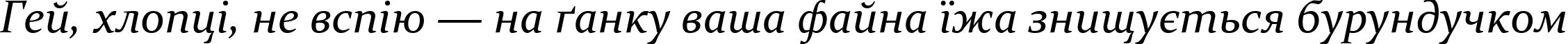 Пример написания шрифтом Constantia Italic текста на украинском