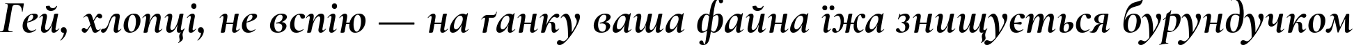Пример написания шрифтом Cormorant Bold Italic текста на украинском