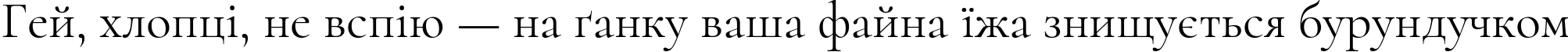 Пример написания шрифтом Cormorant Regular текста на украинском Пример написания шрифтом Cormorant Regular текста на украинском