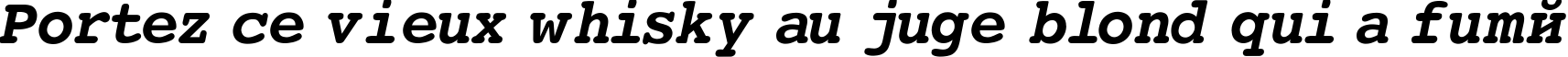 Пример написания шрифтом Courier-Bold-Italic текста на французском
